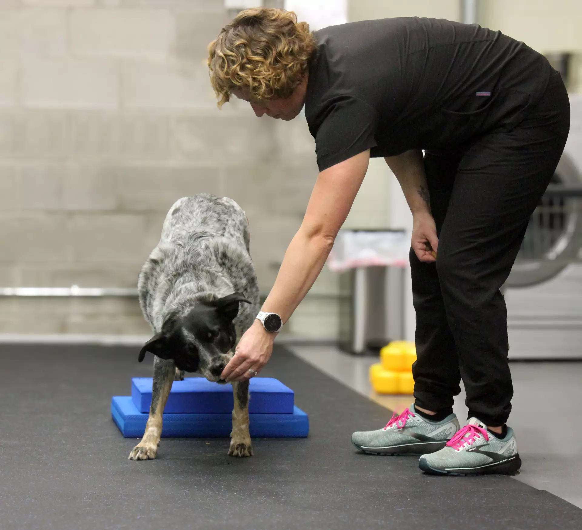 Canine Physical Rehabilitation Facility in Mukwonago, WI